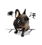 French Bulldog PANHU（個別スタンプ：3）