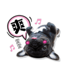 French Bulldog PANHU（個別スタンプ：18）