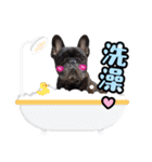 French Bulldog PANHU（個別スタンプ：26）