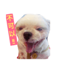 Happy Bebo dog（個別スタンプ：3）