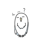 somewhere cute white owl（個別スタンプ：1）