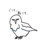 somewhere cute white owl（個別スタンプ：2）