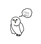 somewhere cute white owl（個別スタンプ：9）