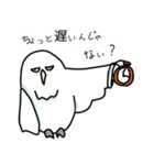 somewhere cute white owl（個別スタンプ：11）