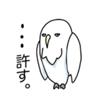 somewhere cute white owl（個別スタンプ：14）