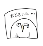 somewhere cute white owl（個別スタンプ：17）