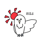 somewhere cute white owl（個別スタンプ：18）