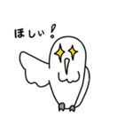 somewhere cute white owl（個別スタンプ：24）