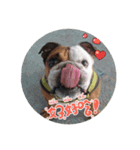 I Love Bulldog（個別スタンプ：6）