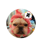 I Love Bulldog（個別スタンプ：10）