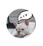 I Love Bulldog（個別スタンプ：27）