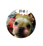 I Love Bulldog（個別スタンプ：32）