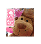 Lion Shi（個別スタンプ：5）