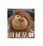 Lion Shi（個別スタンプ：6）