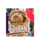 Lion Shi（個別スタンプ：11）