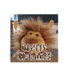 Lion Shi（個別スタンプ：15）