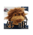 Lion Shi（個別スタンプ：23）