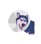kiki the moody dog（個別スタンプ：6）