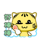 Cute striped cat. CAT06（個別スタンプ：14）