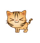 Big Head Cat（個別スタンプ：17）