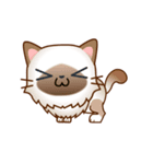 Big Head Cat（個別スタンプ：27）