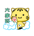 Cute striped cat. CAT07（個別スタンプ：1）