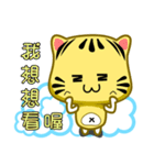 Cute striped cat. CAT07（個別スタンプ：31）