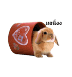 NASABUNNY（個別スタンプ：3）