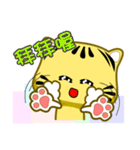 Cute striped cat. CAT11（個別スタンプ：25）