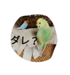 僕の鳥（個別スタンプ：7）