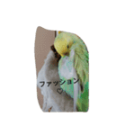 僕の鳥（個別スタンプ：8）