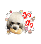 PePsiidog...（個別スタンプ：13）