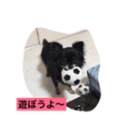 ふに（個別スタンプ：5）