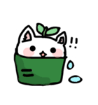 greentea cat（個別スタンプ：1）