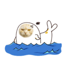 Sea-cat Sticker Set（個別スタンプ：27）