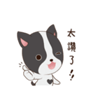 Nicopy World - nicodog（個別スタンプ：5）