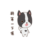 Nicopy World - nicodog（個別スタンプ：15）