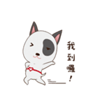 Nicopy World - nicodog（個別スタンプ：28）