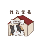 Nicopy World - nicodog（個別スタンプ：40）