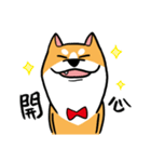 Mr. ShibaInu（個別スタンプ：1）