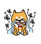 Mr. ShibaInu（個別スタンプ：3）