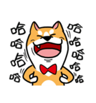 Mr. ShibaInu（個別スタンプ：4）