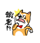 Mr. ShibaInu（個別スタンプ：8）