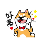 Mr. ShibaInu（個別スタンプ：9）