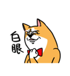 Mr. ShibaInu（個別スタンプ：11）