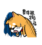 Mr. ShibaInu（個別スタンプ：12）