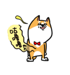 Mr. ShibaInu（個別スタンプ：15）