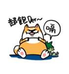 Mr. ShibaInu（個別スタンプ：16）