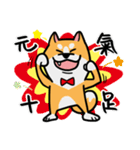 Mr. ShibaInu（個別スタンプ：17）