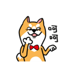 Mr. ShibaInu（個別スタンプ：19）